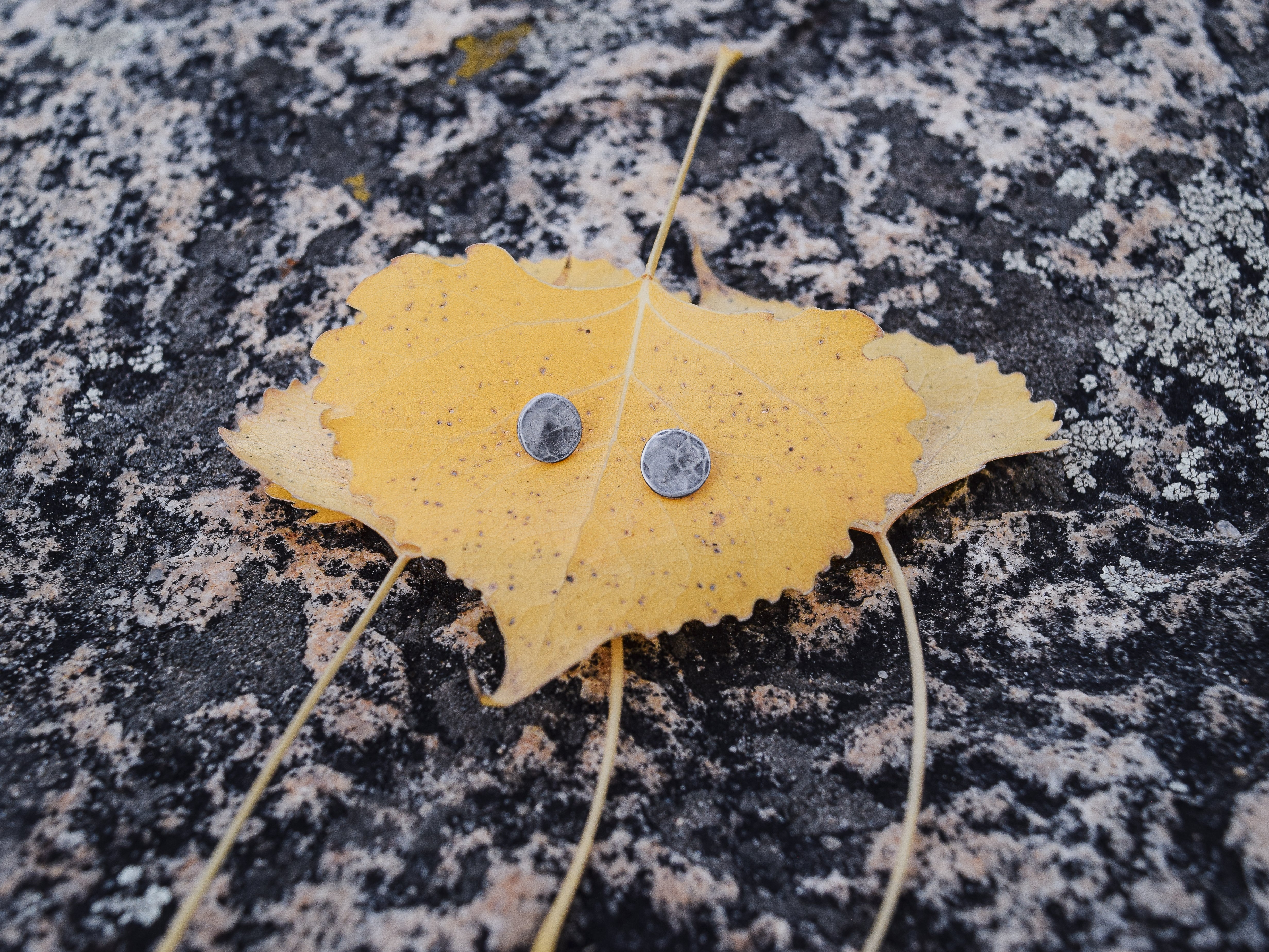 Hammered Studs