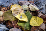 Load image into Gallery viewer, Sunflower Necklace
